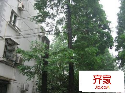 北小區(qū)外景圖 