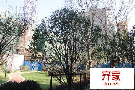 紫菁庭園林景觀圖（2015.3）