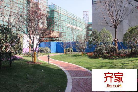 紫菁庭園林景觀圖（2015.3）