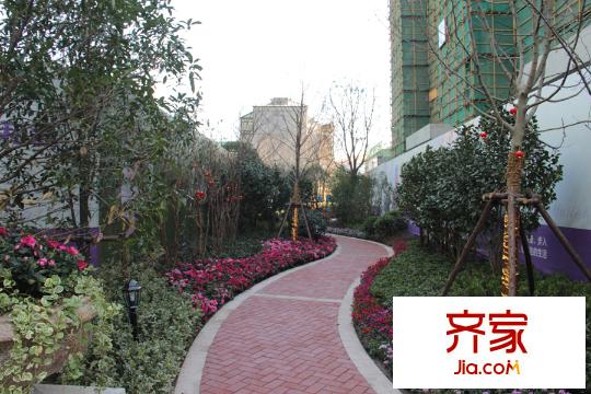 紫菁庭園林景觀圖（2015.3）