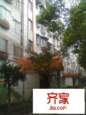 金楊路750弄小區(qū)外景圖金楊路750弄 