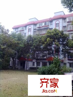 金楊路750弄小區(qū)外景圖金楊路750弄 
