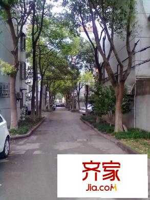 金楊路750弄小區(qū)外景圖金楊路750弄 