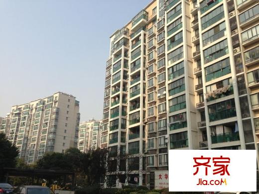 玫瑰99外景图