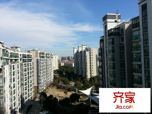 玫瑰99外景图