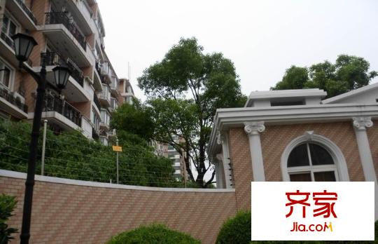 德樂(lè)苑外景圖上海  