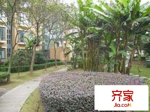 碧林湾外景图