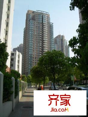 濱江國際外景圖 