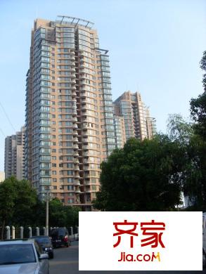 濱江國際