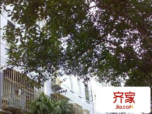德州二村外景圖