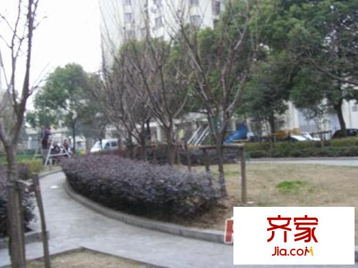 紅柿苑外景圖上海  