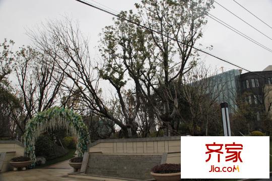 浦東頤景園綠化（2015.3）