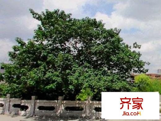 延铁家园外景图