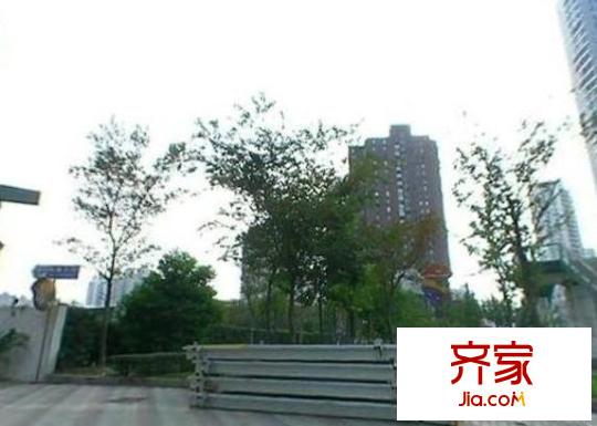 日月星辰外景图上海