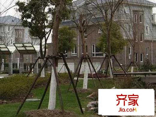 城市藝術(shù)季外景圖