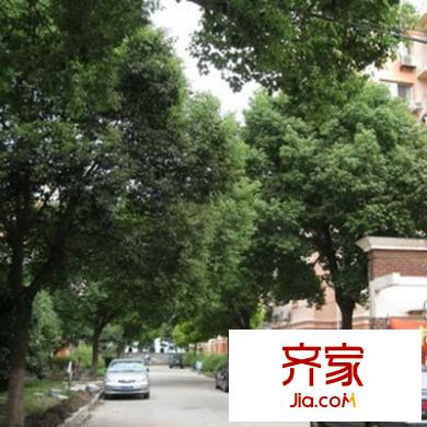 金橋灣南二街坊外景圖上海  
