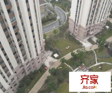 浦江映象外景圖