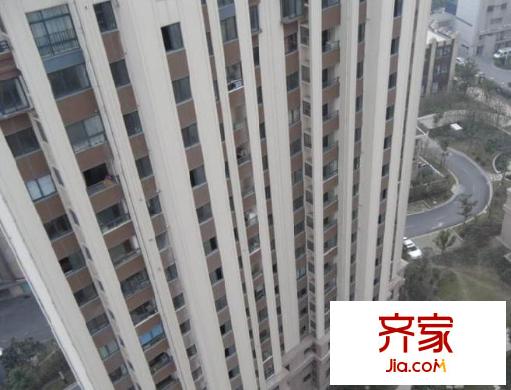 浦江映象外景圖