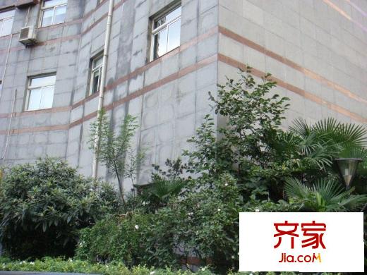 申金大廈公寓外景圖申金大廈 