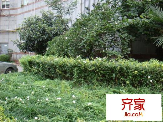申金大廈公寓外景圖申金大廈 