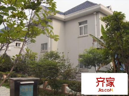 鼎信公寓外景图 上海
