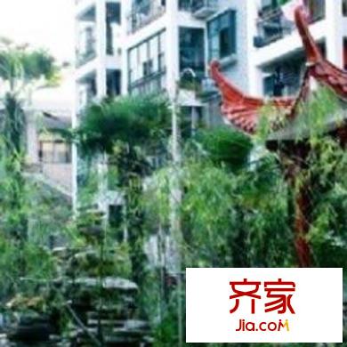 明珠花苑外景圖
