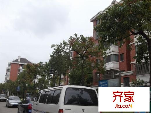 金楓公寓外景圖 