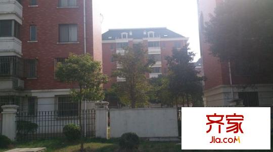 金楓公寓外景圖 