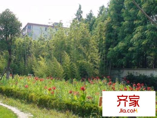 桃李家園外景圖上海  