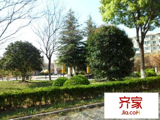 高南新村