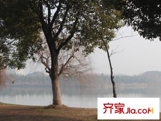 森林溪谷配套图周边风景