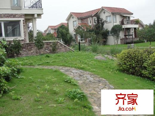 森林溪谷外景图