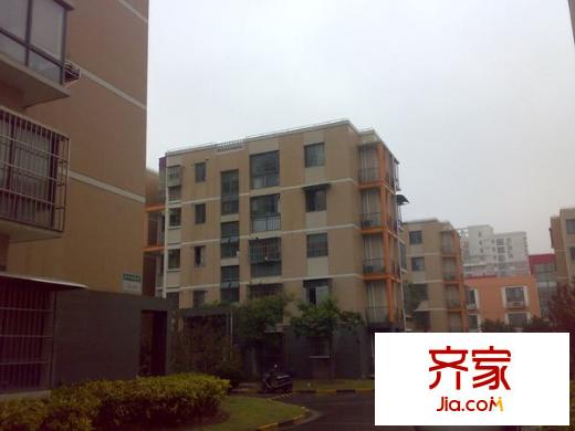 浦江世博家园十街坊外景图