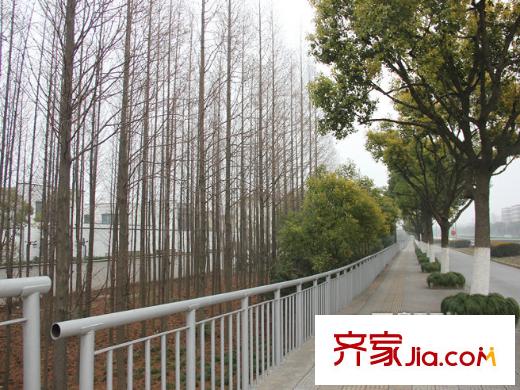 東園雅集軒周邊綠化