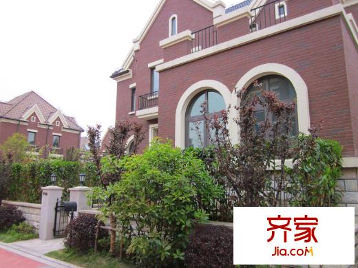 尼德蘭北岸 (2011.4)