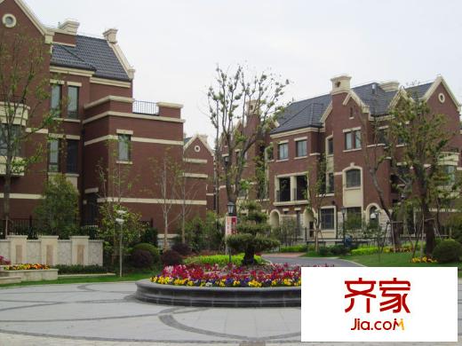 尼德蘭北岸 (2011.4)