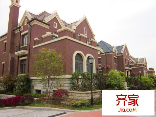 尼德蘭北岸 (2011.4)