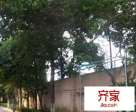 王家宅小區(qū)外景圖