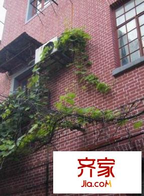 复兴中路新里外景图