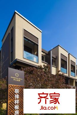 佘山珑原花海间实景图(2015.3)