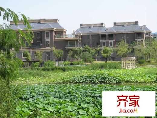 天和湖濱藝墅 (2011.8)
