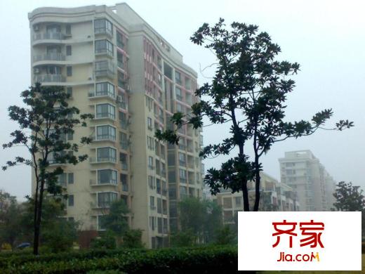 浦江世博家园十一街坊外景图