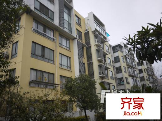 康桥水都外景图2 (5)