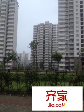 金群苑