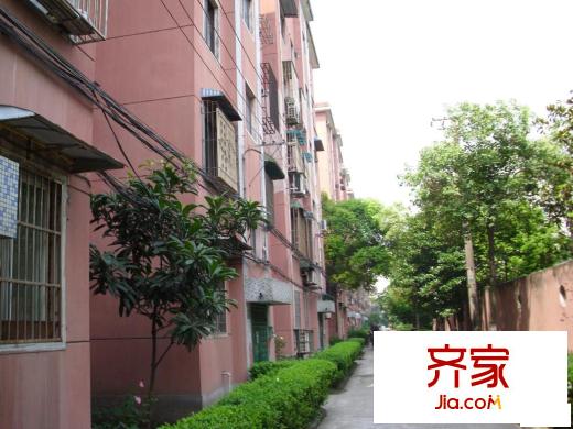 共富一村外景图