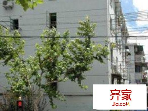 白浪新村外景图