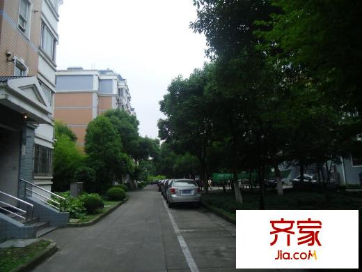 紫竹軒外景圖 