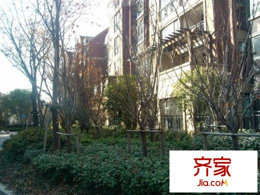 美兰湖中华园外景图