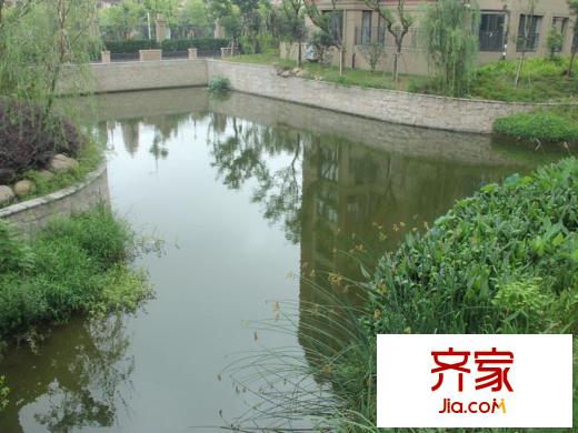美兰湖中华园实景图(2013.2)