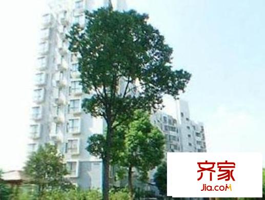 新城名庭外景圖   